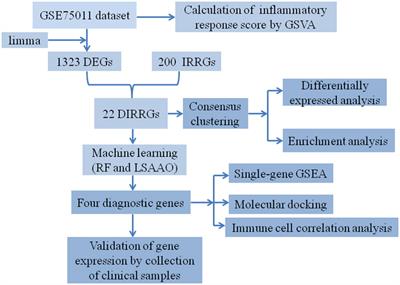 Identification of diagnostic signature, molecular subtypes, and potential drugs in allergic rhinitis based on an inflammatory response gene set